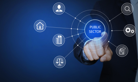 PA - Acquisti per settori merceologici